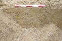 Thumbnail of 110490_to_110498_Mitigation_Image_1049, Set Piece Excavation area 4, view of 8194 (group 8284), from east.