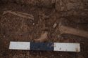 Thumbnail of 110490_to_110498_Mitigation_Image_1314, Set Piece Excavation area 7, plan view of object 705 (re-numbered as object 77; associated with 7392/7393), from east.