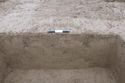 Thumbnail of 110490_to_110498_Mitigation_Image_1456, Strip, Map and Record area 1, south facing section of 9239.
