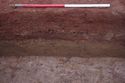 Thumbnail of 110490_to_110498_Mitigation_Image_1502, Strip, Map and Record area 1, south facing section of 9323 (group 9388) - photograph 2 of 3.