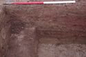 Thumbnail of 110490_to_110498_Mitigation_Image_1504, Strip, Map and Record area 1, north facing section of 9323 (group 9388) - photograph 1 of 4.