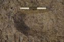 Thumbnail of 110490_to_110498_Mitigation_Image_1676, Strip, Map and Record area 5, plan view of 11008, from east.