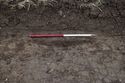 Thumbnail of 110490_Evaluation_Image_07, Trench 31, work-in-progress shot of ditch 31009 and fill 31010, from south.