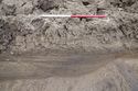 Thumbnail of 110490_Evaluation_Image_20, Trench 31, north facing section of eastern part of 31001/31013/31015 (close-up).