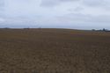 Thumbnail of 110496.01_Report_Plate_02, Hornsea Offshore Wind Farm Project ONE, Earthwork Survey Report, Plate 2: Mound feature 201 in Area 2, possibly a medieval saltern.