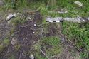 Thumbnail of 110497_HBR_Image_041, Historic Building Recording Report 110497.03 Plate 41, view of remnants of Latrine 2, with pipe set within the ground to the west, and remains of a urinal on the east situated north of concrete foundations.