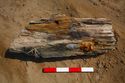 Thumbnail of 110499_Intertidal_Image_10, Timber Assessment Report 110499.03, Figure 2 - Image 4 of 4, Timber 1 discovered during excavations for cable installations in the intertidal zone at Horseshoe Point, North Cotes.