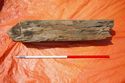 Thumbnail of 110499_Intertidal_Image_19, Timber Assessment Report 110499.03, Figure 4 - Image 3 of 5, Timber 3 discovered during excavations for cable installations in the intertidal zone at Horseshoe Point, North Cotes.
