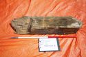 Thumbnail of 110499_Intertidal_Image_20, Timber Assessment Report 110499.03, Figure 4 - Image 4 of 5, Timber 3 discovered during excavations for cable installations in the intertidal zone at Horseshoe Point, North Cotes.