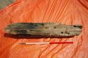 Thumbnail of 110499_Intertidal_Image_22, Timber Assessment Report 110499.03, Figure 5 - Image 1 of 4, Timber 4 discovered during excavations for cable installations in the intertidal zone at Horseshoe Point, North Cotes.