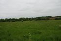 Thumbnail of Facing a field in Brackley