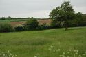 Thumbnail of Facing a field in Brackley