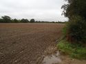 Thumbnail of Compound at Shepherds Furze