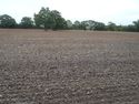 Thumbnail of Compound at Shepherds Furze