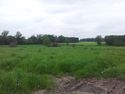 Thumbnail of Open field