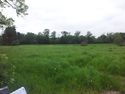 Thumbnail of Open field