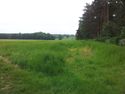 Thumbnail of Open field