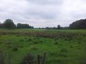 Thumbnail of Open field
