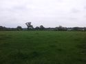 Thumbnail of Open field