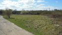 Thumbnail of Greenery near working site
