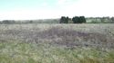 Thumbnail of Open field near working site