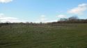 Thumbnail of Greenery near working site