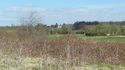 Thumbnail of Greenery near working site