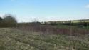 Thumbnail of Greenery near working site