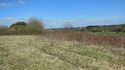 Thumbnail of Greenery near working site