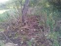 Thumbnail of Remains of walled garden now overgrown within areas of woodland and scrub