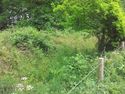 Thumbnail of Park Pale