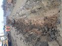 Thumbnail of Southeast facing shot of Deposits (2000), (2001) and (2002), no scale