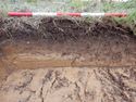 Thumbnail of North facing representative section of Trench 9, 1x1m scale