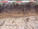 Thumbnail of West facing section representative section of Trench 8, 1x1m scale