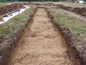 Thumbnail of East facing shot of Trench 4, no scale
