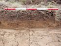 Thumbnail of North facing representative section of Trench 4, 1x1m scale