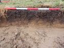Thumbnail of Northeast facing representative section of Trench 2, 1x1m scale