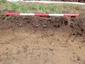 Thumbnail of Northwest facing representative section of Trench 6, 1x1m scale