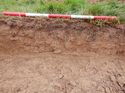 Thumbnail of East facing representative section of Trench 3, 1x1m scale