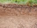 Thumbnail of East facing representative section of Trench 3, no scale