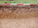 Thumbnail of South facing representative section of Trench 7, 1x1m scale
