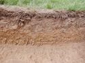 Thumbnail of South facing representative section of Trench 7, no scale