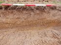 Thumbnail of West facing representative seciton of Trench 8, 1x1m scale