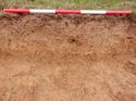 Thumbnail of Southeast facing representative section of Trench 9, 1x1m scale