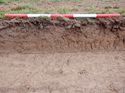 Thumbnail of Southwest facing representative section of Trench 5, 1x1m scale