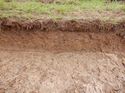 Thumbnail of Northwest facing representative section of Trench 4, no scale