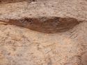 Thumbnail of Northeast facing section fo ditch [5003], no scale