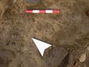 Thumbnail of Close up shot of excavated stakehole