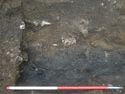 Thumbnail of Detail shot of waterlogged deposts at base of ditch