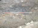 Thumbnail of Waterlogged deposits with leather and stakes